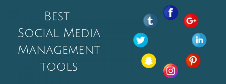 Best Social Media Management Tools for Businesses | REVE Chat