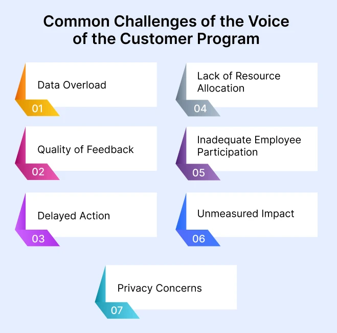 common-challenges-of-the-voice-of-the-customer-program