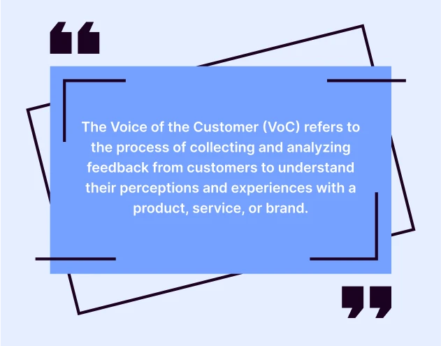 what_is-the-voice-of-the-customer